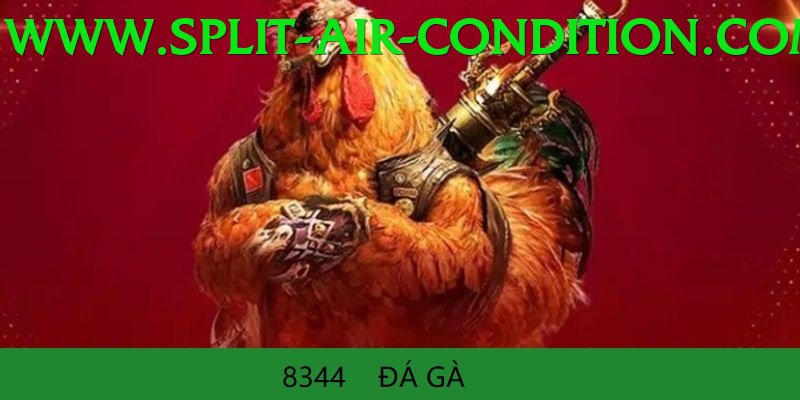 Đá Gà Trực Tiếp - Ưu đãi đặc biệt