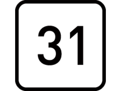 31 Auto Programs